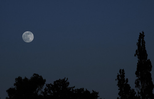 moon tele astro sagitarius lua luna cypress israel fullmoon landscape dream blue magenta silver fujifilm xe2 55~200