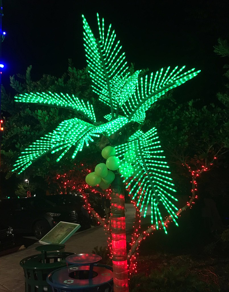 Largo Florida Botanical Gardens Holiday Lights In The Flickr