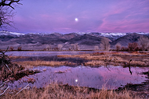 california pink trees sunset sky brown moon lake mountains reflection nature water grass landscape pond purple desert cloudy scenic moonrise bishop easternsierra
