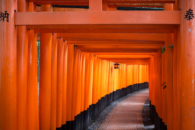 The path of thousands of Torii