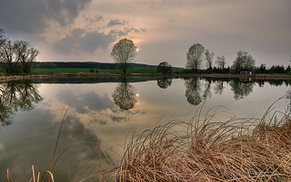 Evening Reflection at a fishing pond