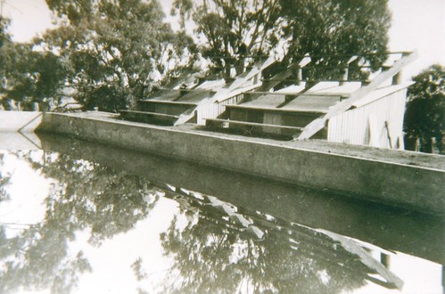 Paternoster