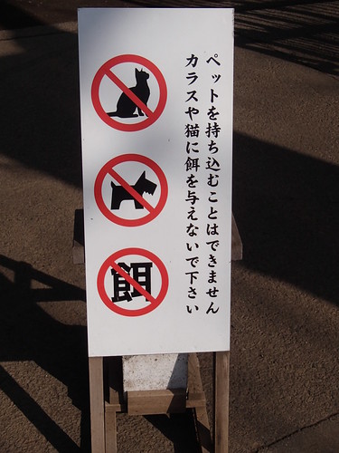 Tokyo | by tupperware