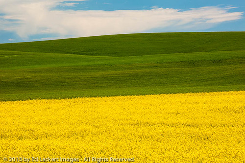 blue color green yellow horizontal outdoors photography spring day farm nopeople cultivatedland canoneos5dmarkii