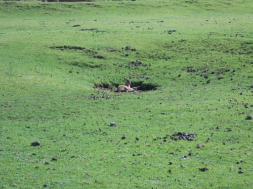 park naturaleza nature animals méxico mexico safari paseo animales cautiverio edomex bioparque bioparqueestrella chapademota