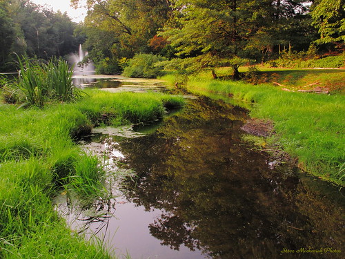 trees lake grass canon reflections river pond woods stream powershot streams marsh g12 smack53
