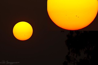 Sun Spots 4 of them