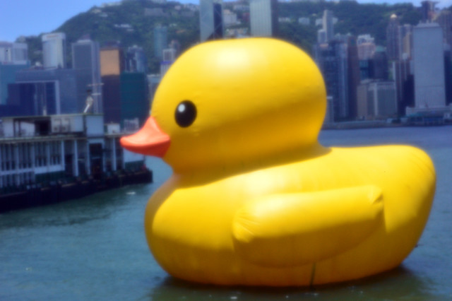 Yellow Duck in Hong Kong Harbour - taken with Skink Pinhole Pancake