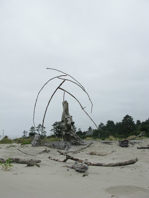 Giant Dancing Tree