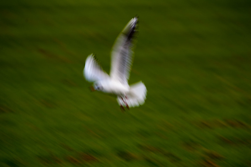 Taking off