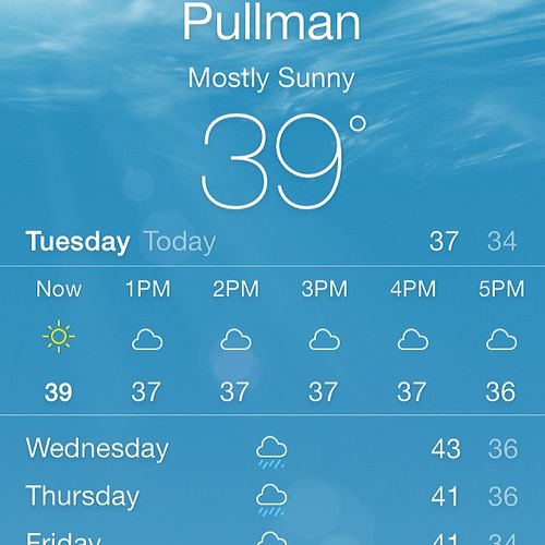 Almost 40 degrees @WSUPullman. Break out the sunscreen & let's hit the dunes! #summer #wishfulthinking