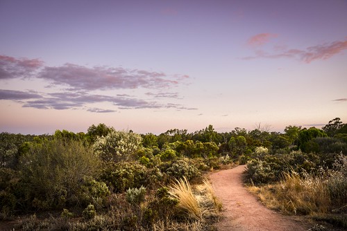 park light sunset twilight bush nikon track dusk path australia victoria d750 vic billabong mildura walkingtrack bushland kingsbillabong irymple nichollspoint phunnyfotos nikond750 kingsbillabongpark