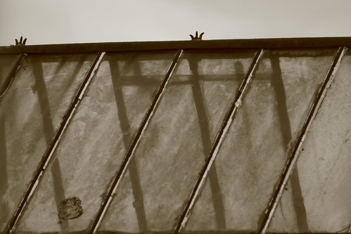Rooftops | by MiguelBBernardo