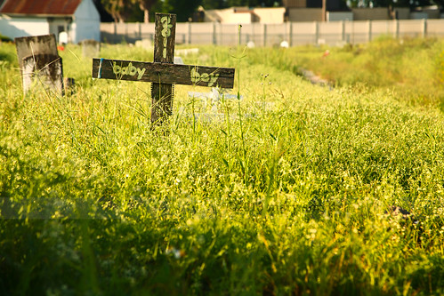 cemeteries baby overgrown sad cross graveyards neworleans graves mardigras unkempt indigent woodbeads holtcemetery