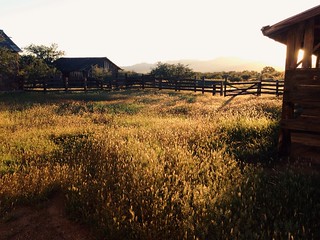 Empire Ranch Sunrise