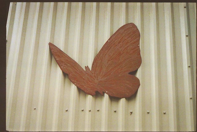 Kodak Retina IIIc - Swindon - Rusty Butterfly