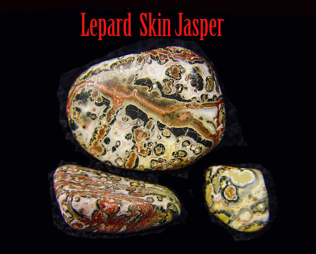 Lepard Skin Agate - Rock collection hand sample