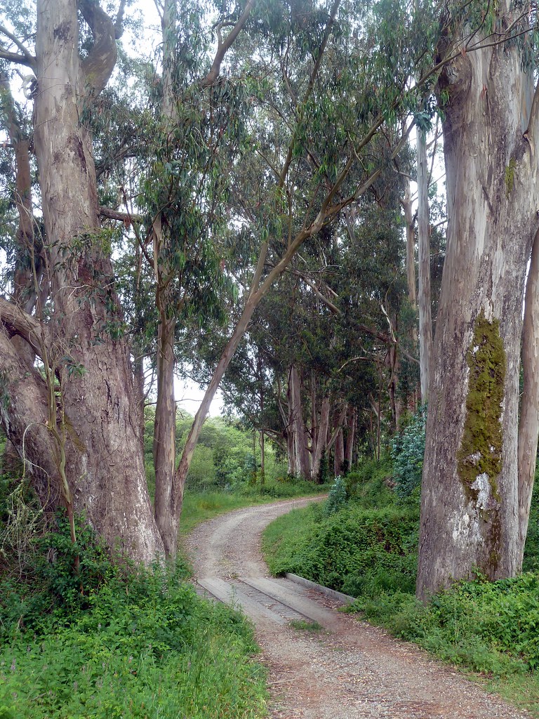 Burleigh-Murray Ranch Trail, near Guided Walk