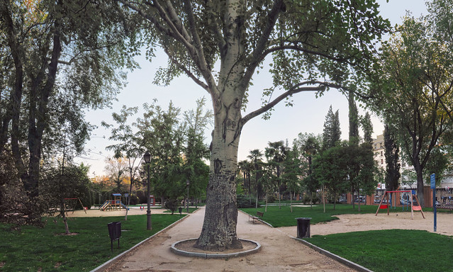 parque retiro, madrid (2016)