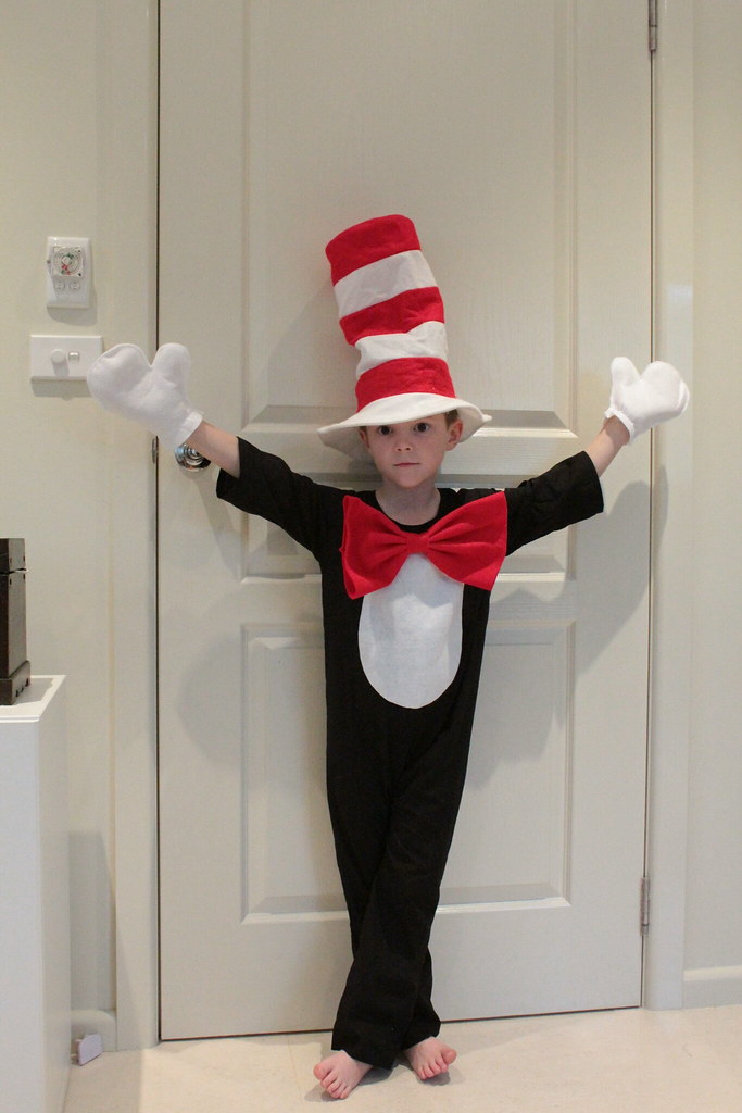 cat in the hat dress up. 