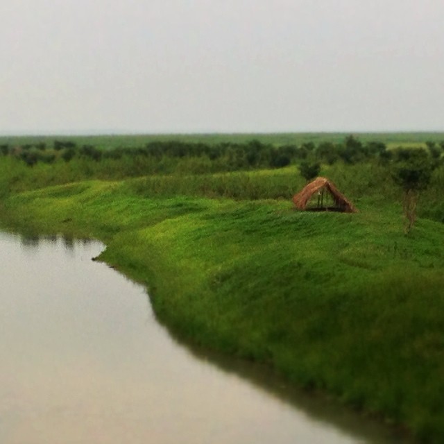 Silence                                           #bangladesh #sylhet #nature #travel