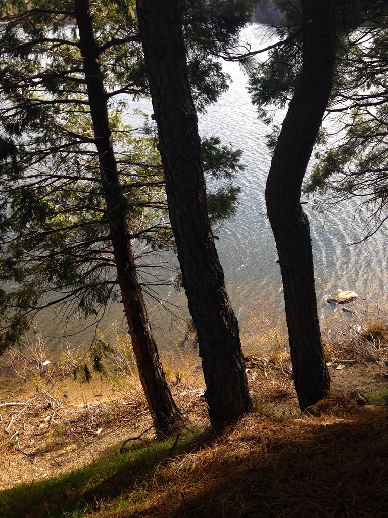 Lake Gregory Trail