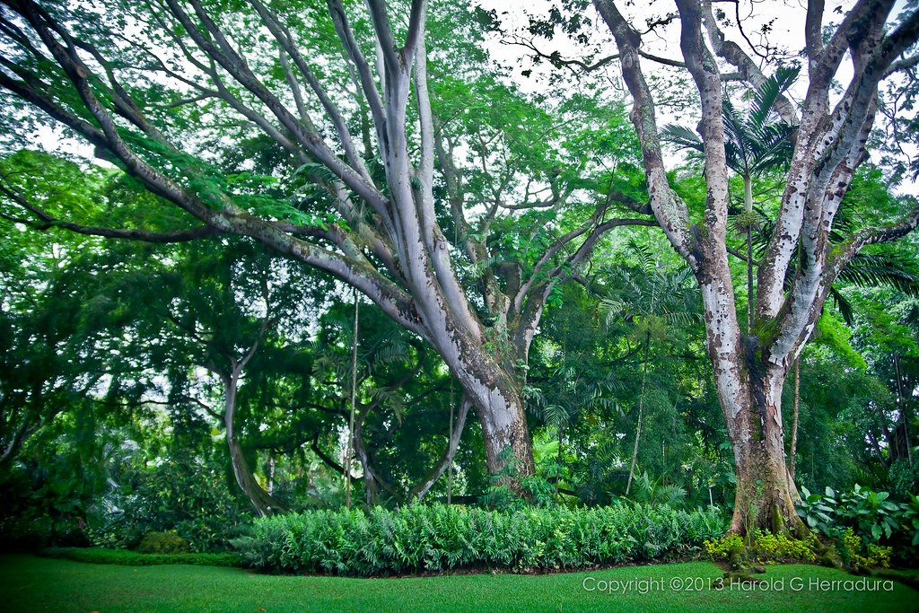 Wahiawa Botanical Gardens Harold Herradura Flickr