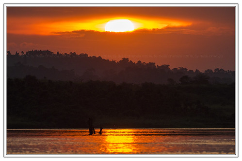 nile whitenile jinja uganda sunset sunsetonthenile rivernile river sundown eastafrica ug sun paesaggio