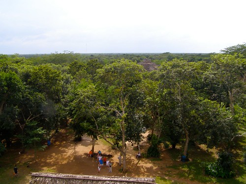 trees sculpture archaeology museum view maya yucatan climbing jungle warriors publicart archeology height zone preservation overthetop inah insitu ekbalam patrimony 2013 wingedwarriors mayafieldworkshops