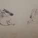 "Flying Hares!?". Carvão sobre papel/Charcoal on paper, 1988.
