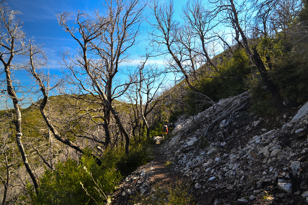 Bear Basin Connector