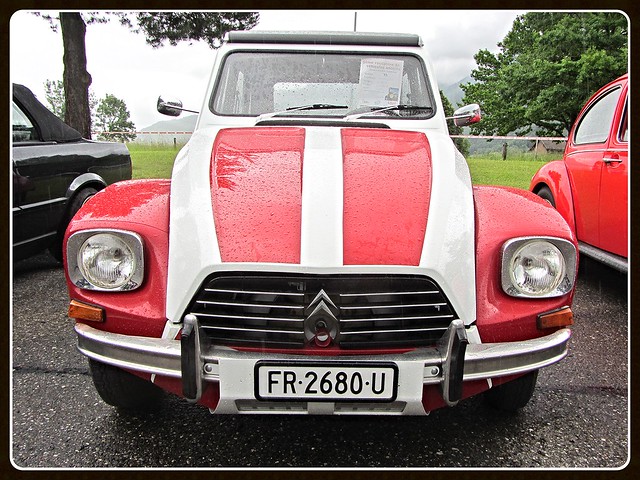 Citroën Dyane 6, 1981