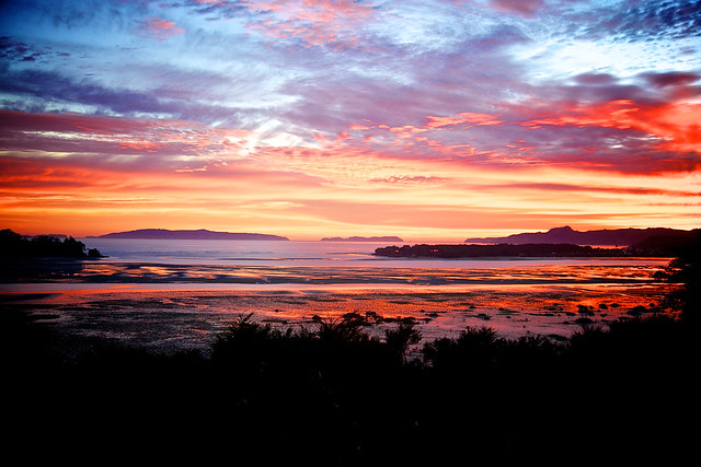Whangapoua Sunrise