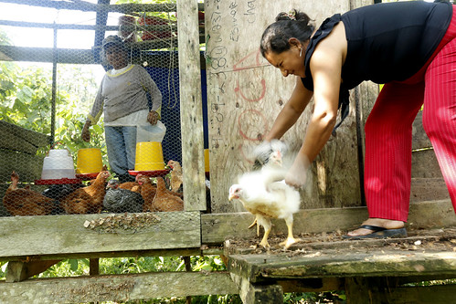 Ecuador. Gender Equality | by raúldemora