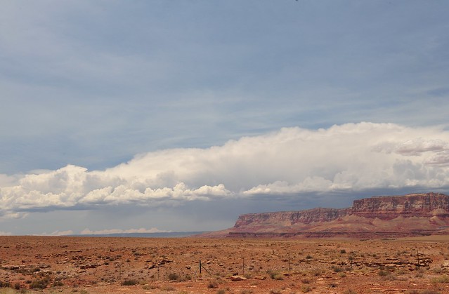 looking for a little rain.  Vermillion Cliffs, Arizona