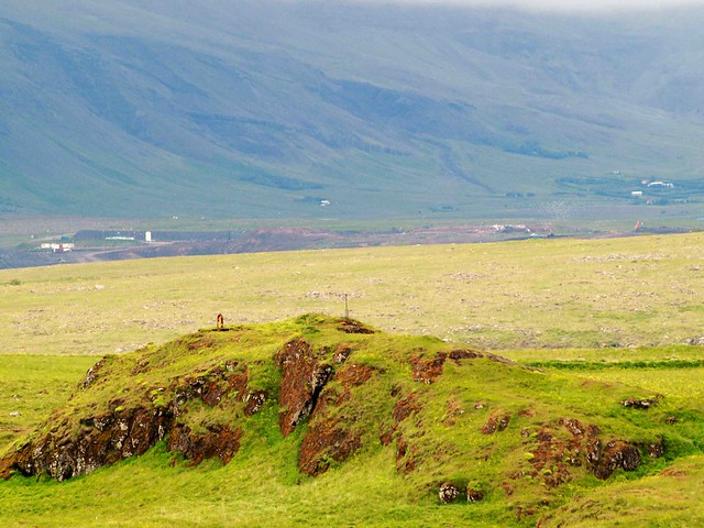 Bleak Icelandic Landscape