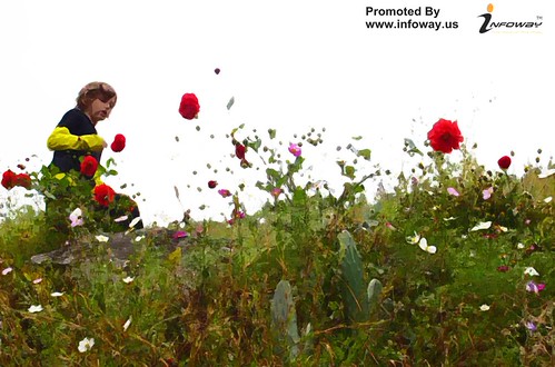 Tiger Leaping Gorge  Wildflowers | by Infoway LLC - Website Development Company