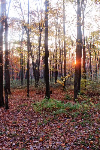 andyarthur sunriseovercamp forestroad160259dispersedcamping