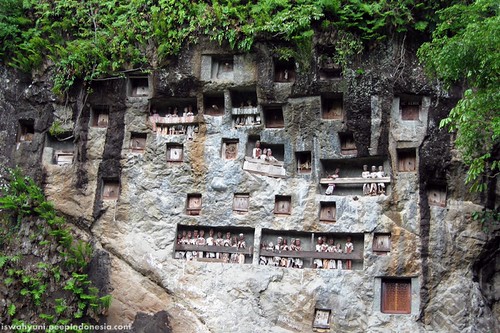 Tana Toraja