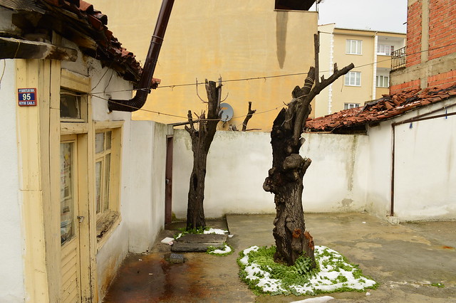 Edirne Snowy Courtyard
