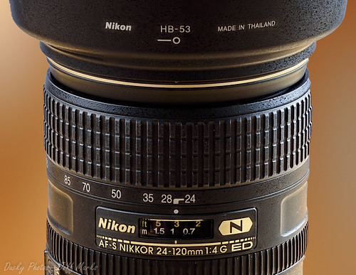 Nikon Focus Stack-0094.jpg | by Ducksoupp