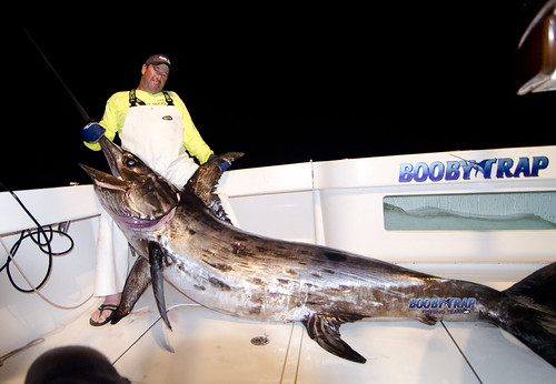 Booby-Trap-Fishing-Team-Swordfishing-texas-swordfish | by boobytrapfishingteam