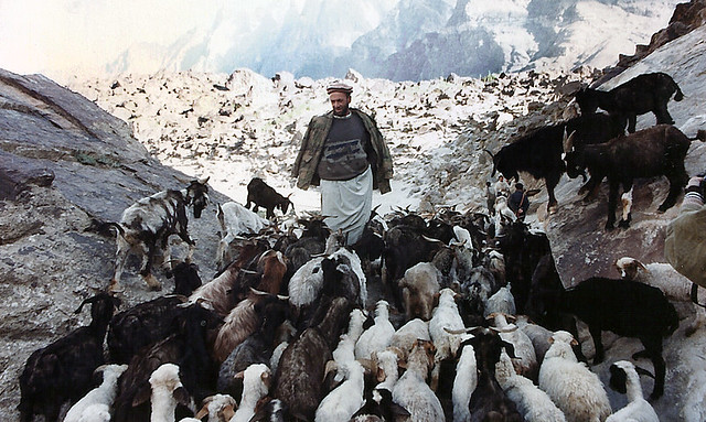 On their way to Kachura Lake--Gilgit Baltistan . Pakistan