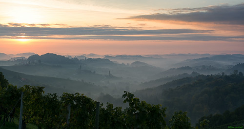 fog sunrise österreich nikon nebel vineyards nikkor sonnenaufgang vr afs steiermark weinberge südsteiermark 1685 d7100 sulztal southstyria