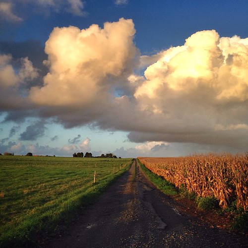 Les ciels changeants des Deux Sèvres. Demain ✈️Venise. #igersniort #igersfrance #poitoucharentes #2sevres by Timbrado.hb, square squareformat iphoneography instagramapp uploaded:by=instagram foursquare:venue=4d5eaf3b865a22