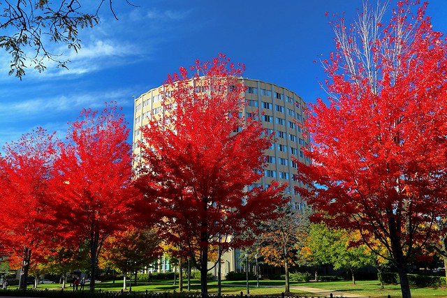 Colors at Marquette University