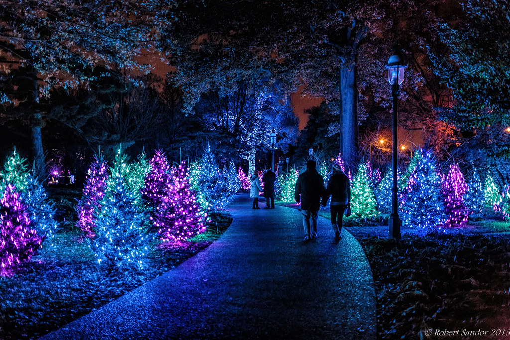 Garden Glow 2 Bob Sandor 2018 Flickr