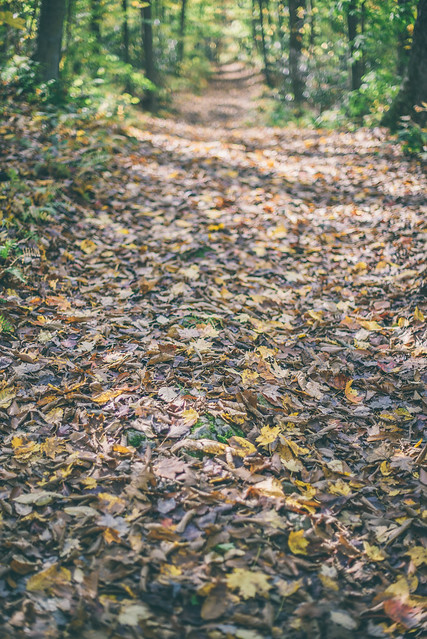 Jonathan Run Falls - Jonathan Run - Ohiopyle State Park - fall - autumn-44