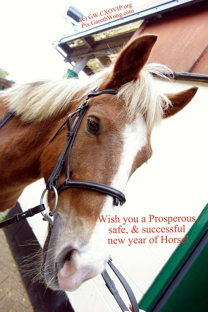 Wish you a prosperous & happy year of Horse! 祝您馬年豐盛! 祝你平安幸福，合家欢乐，万事顺利！Horse head from raw _DSC7953 by garethwong