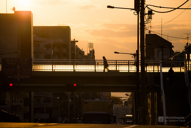 Inokashira-Dori Avenue in evening (井の頭通り)